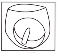 Slip cu dildo anal